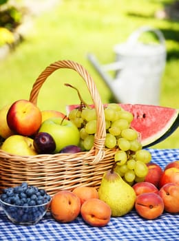 Basket of fresh organic fruits in the garden