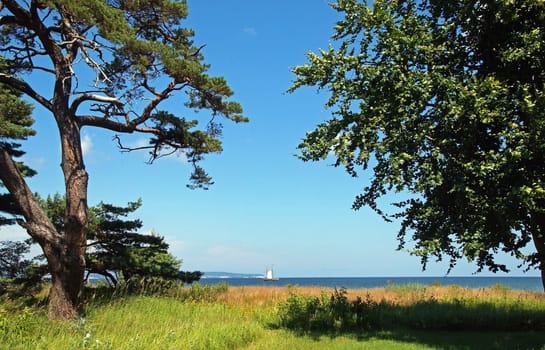 Ostseedüne / dune of baltic sea