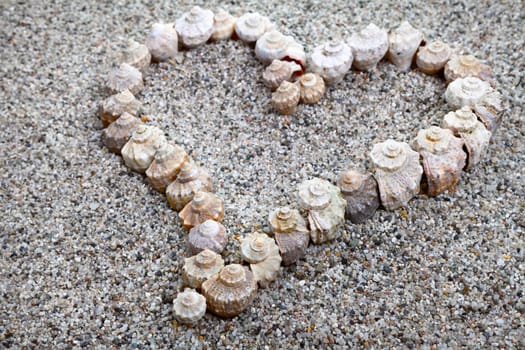 Love heart made of sea shells. Summer composition