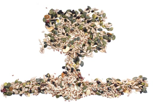 Pumpkin seeds,Sunflower seeds