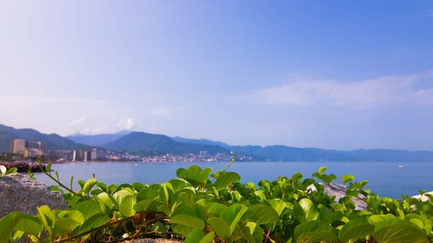 Landscape shot of Puerto Vallarta, Mexico