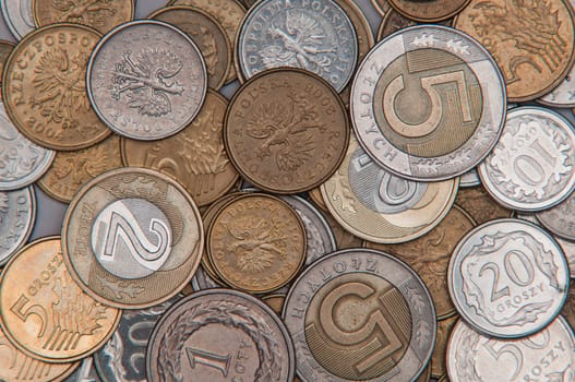 money pln background on white