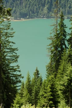 Lake in turquoise and green trees in the Tannheimer Tal in Austria
