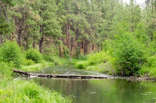 Deschutes River in central Oregon peacefully passing by