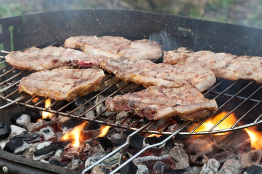 Delicious steaks from the grill