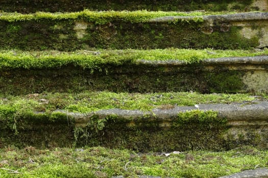 The forgotten staircase