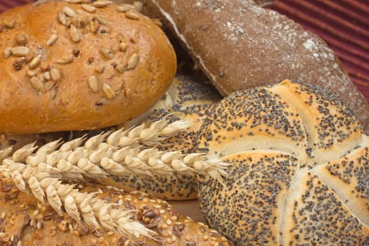 Various types of whole wheat bread and wheat ears lying on a wooden board.