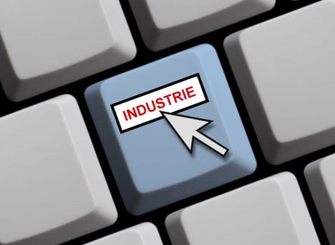 Industry online