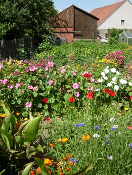 Flower garden in Alverdissen