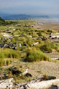 View of the Oregon coast at Lincoln City with grass and driftwood