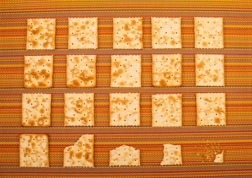 Lots of salted crackers and ones bitten, background.