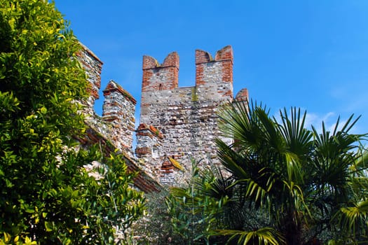 The old castle hidden by the trees