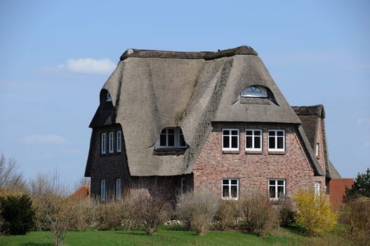 Thatched cottage