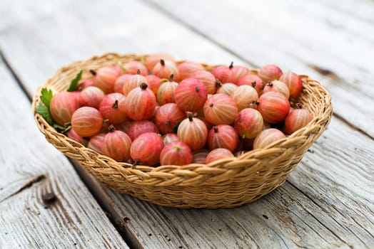 Fresh gooseberries in a basket close up shoot