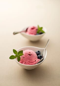 Fresh blueberry ice cream with mint close up