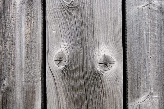 Grain of old grey wood as background