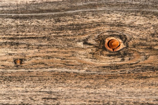 Eye in wood with brown grain as background