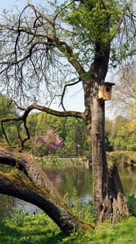 Idyll in Rombergpark,Dortmund