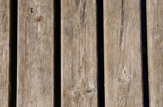 Grey and brown weathered wooden planks