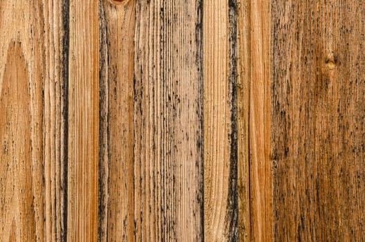 Close-up grain wood in brown as structure