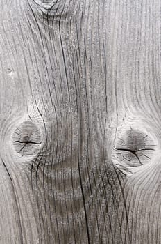Close-up wood in grey with grain