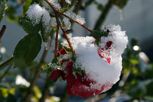 When winter begins in autumn...