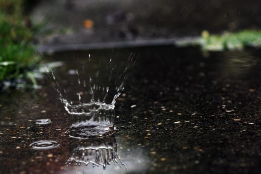 The Great Raindrop