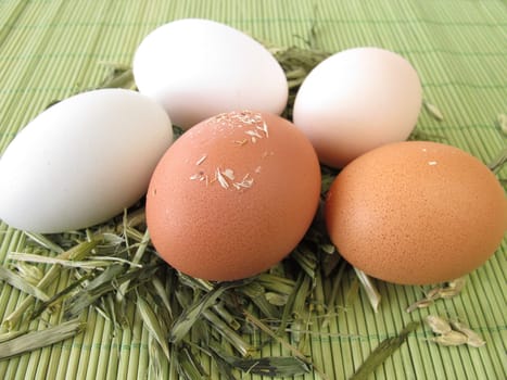 Naturally colourful eggs in straw