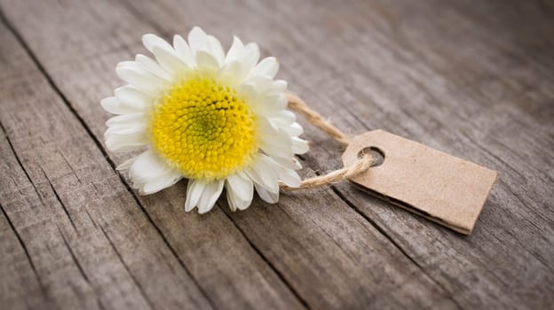 Flowers with paper sales tag on wooden background.