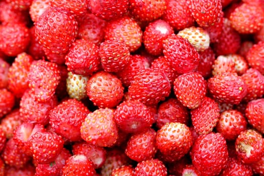 delicious strawberries