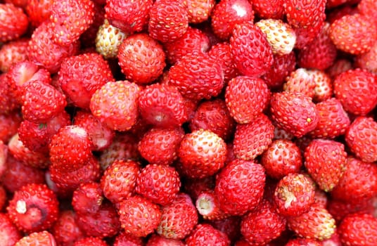 Fresh ripe perfect strawberry - Food Frame Background