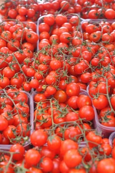 Red Italian tomato vegetables healthy vegetarian food