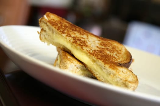 Ooozing grilled cheese sandwich on white plate
