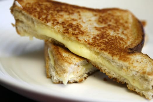 Ooozing grilled cheese sandwich on white plate