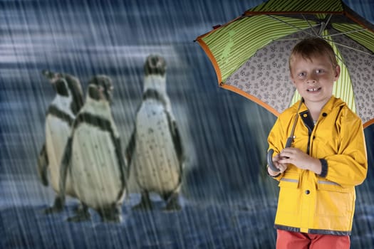 Rain in autumn