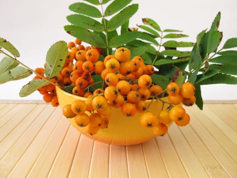 Mountain ash apple fruit