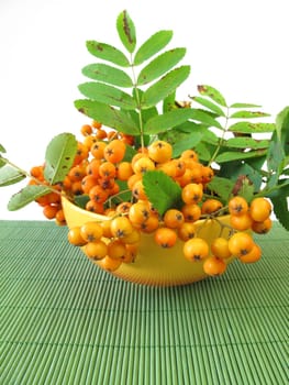 Mountain ash apple fruit