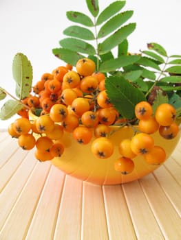 Mountain ash apple fruit