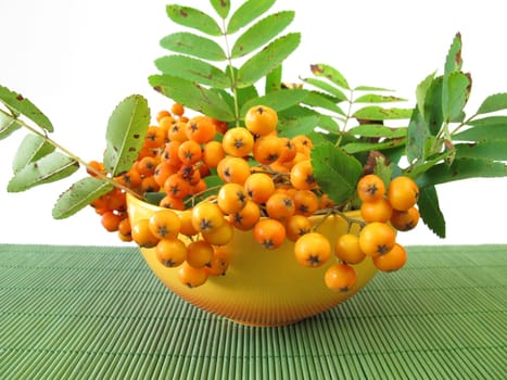 Mountain ash apple fruit