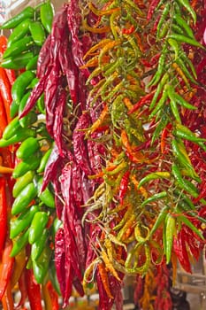 Sharp peppers ready to be sold on the market.