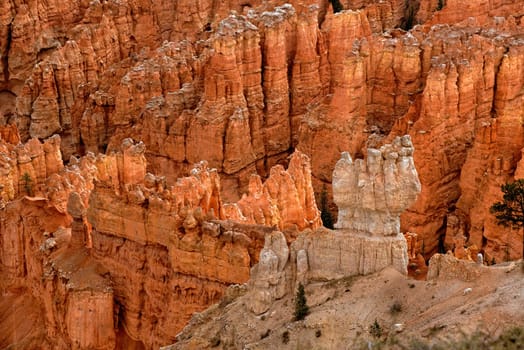 View from Sunrise Point into the Queens Garden of Bryce Canyon,Utah,USA