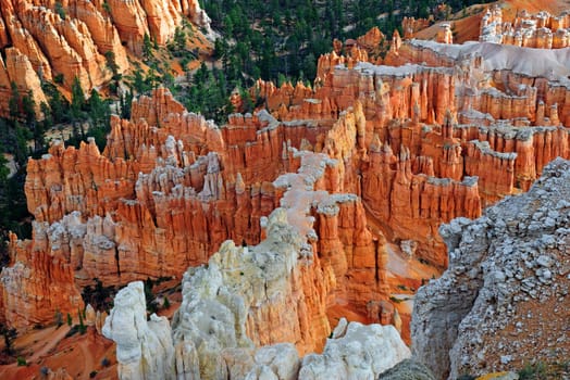 View from Sunrise Point into the Queens Garden of Bryce Canyon,Utah,USA