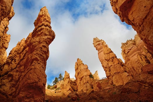 View from Sunrise Point into the Queens Garden of Bryce Canyon,Utah,USA