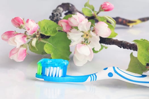 Gentle good dental care