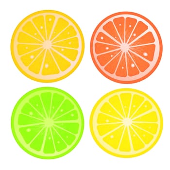 Various citric slices against white background