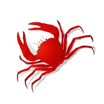 Red crab, isolated objects on white background
