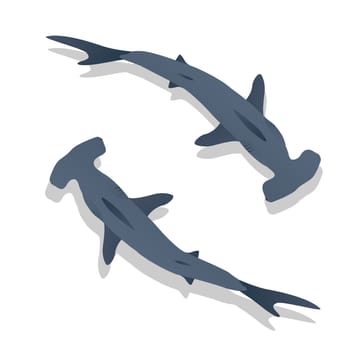 Hammer sharks, isolated objects on white background