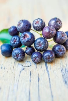 Aronia berry