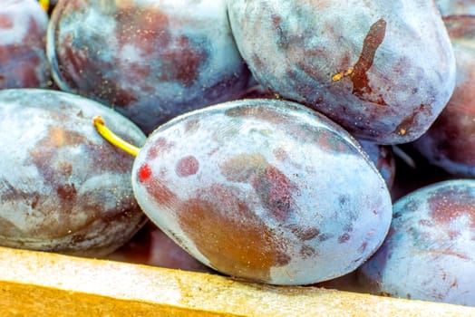 Fresh plums