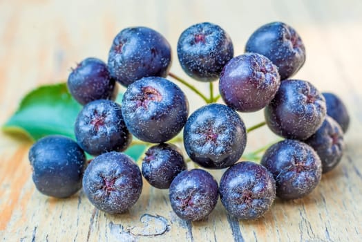 Aronia berry